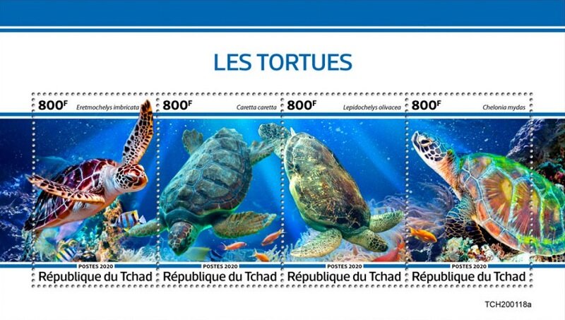 Turtles