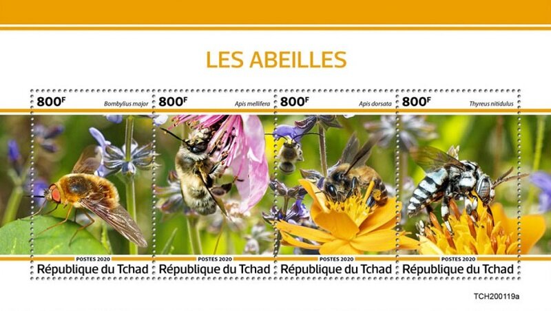 Bees