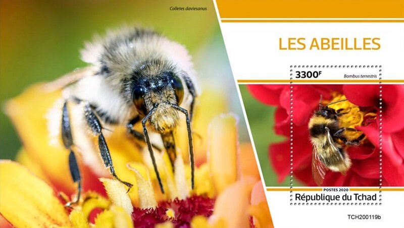 Bees