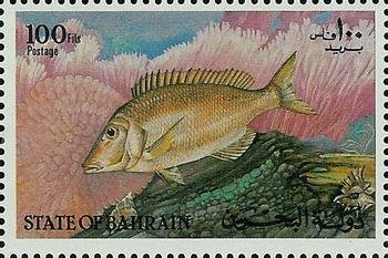 Longnose Emperor (Lethrinus elongatus)