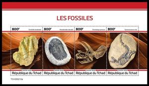 Mini Sheet, Various Fossils, Chad,  , Fossils, Prehistory