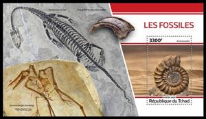 Souvenir Sheet, Ammonoidea, Chad,  , Fossils, Prehistory