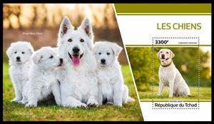 Souvenir Sheet, Labrador retriever, Chad,  , Animals (Fauna), Dogs