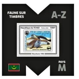 Souvenir Sheet, Mediterranean Monk Seal (Monachus monachus), Chad,  , Animals (Fauna), Sea Life, Seals (Animals)