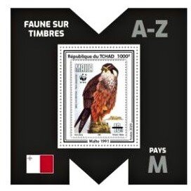 Eleonora's Falcon (Falco eleonorae)