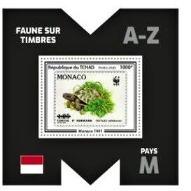 Souvenir Sheet, Hermann's Tortoise (Testudo hermanni), Chad,  , Animals (Fauna), Reptiles, Turtles