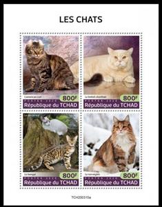 Mini Sheet, Various Domestic Cats, Chad,  , Animals (Fauna), Cats