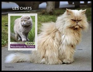Souvenir Sheet, Scottish Folk, Chad,  , Animals (Fauna), Cats