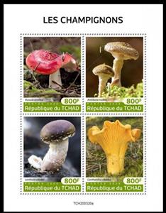 Mini Sheet, Various Mushrooms, Chad,  , Mushrooms, Plants (Flora)