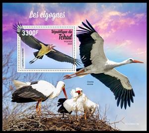 Souvenir Sheet, The Marabou Stork (Leptoptilos crumenifer), Chad,  , Animals (Fauna), Birds, Storks