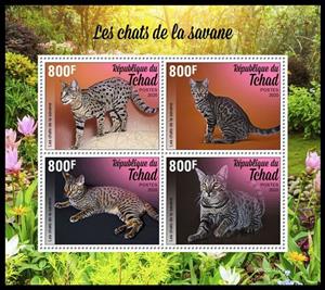 Mini Sheet, The Savannah Cat, Chad,  , Animals (Fauna), Cats, Mammals