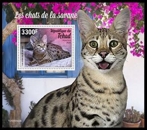 Souvenir Sheet, The Savannah Cat, Chad,  , Animals (Fauna), Cats, Mammals