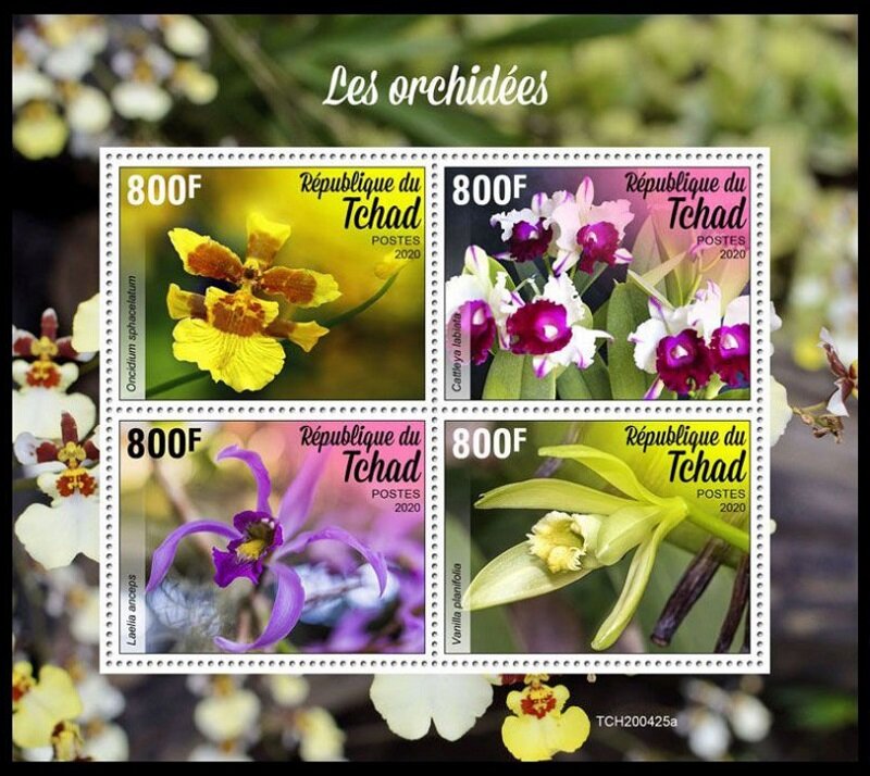 Various Orchids