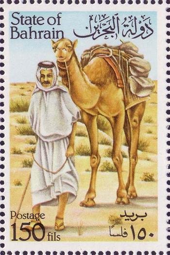 Dromedary leading to the left