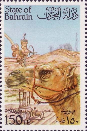 Dromedary head