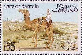 Dromedary to the left