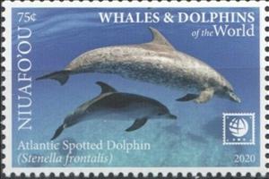 Stamp, Atlantic Spotted Dolphin (Stenella frontalis), Niuafo'ou,  , Animals (Fauna), Dolphins, Sea (Marine) Mammals, Sea Life