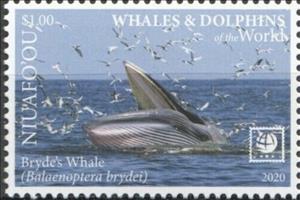 Stamp, Bryde's Whale (Balaenoptera brydei), Niuafo'ou,  , Animals (Fauna), Sea (Marine) Mammals, Sea Life, Whales