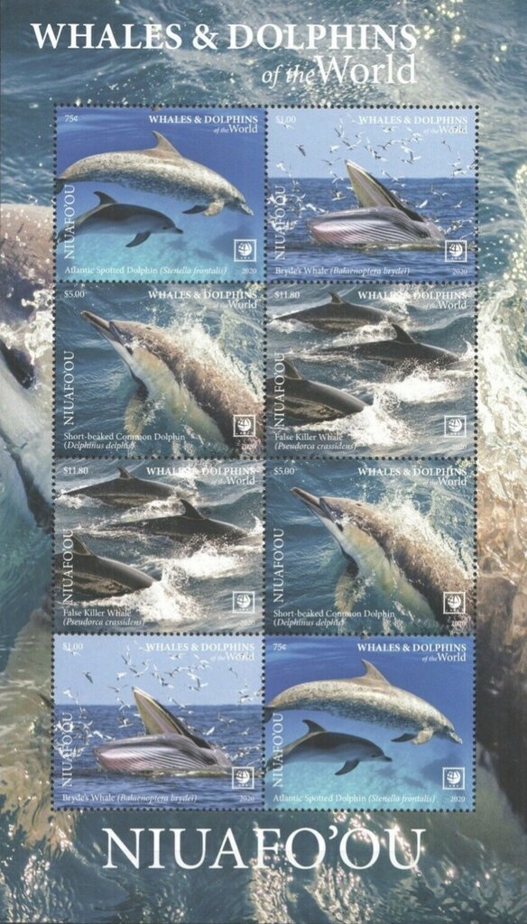 Dolphins & Whales of the World