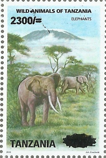 Elephants