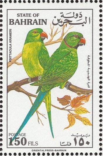 Rose-ringed Parakeet (Psittacula Krameri)