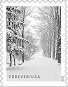Snow-Covered Path