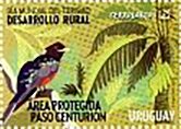 Paso Centurion Natural Park