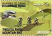 Mountain Biking