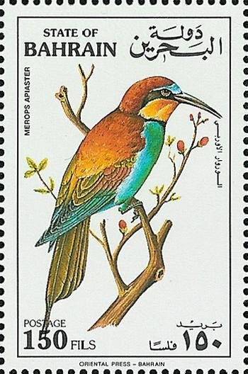 European Bee-eater (Merops apiaster)