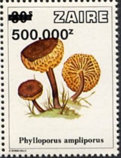 Stamp, CD 958 with new value, Zaire,  , Mushrooms, Plants (Flora)