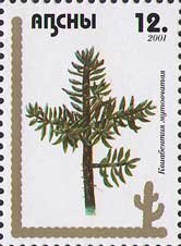 Stamp, Cactus, Abkhazia,  , Cacti, Plants (Flora)