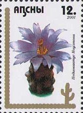 Stamp, Cactus, Abkhazia,  , Cacti, Plants (Flora)