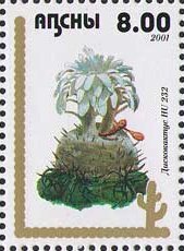 Stamp, Cactus, Abkhazia,  , Cacti, Plants (Flora)