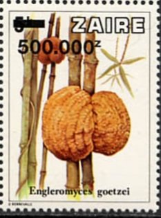 Stamp, CD 959 with new value, Zaire,  , Mushrooms, Plants (Flora)
