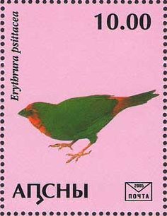 Stamp, Erythrura psittacea, Abkhazia,  , Animals (Fauna), Birds