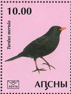Stamp, Turdus merula, Abkhazia,  , Animals (Fauna), Birds