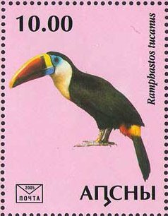 Ramphastos tucanus