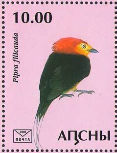 Stamp, Pipra filicauda, Abkhazia,  , Animals (Fauna), Birds