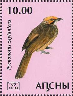 Stamp, Pycnonotus zeylanicus, Abkhazia,  , Animals (Fauna), Birds
