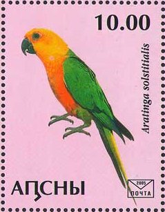 Aratinga solstitialis