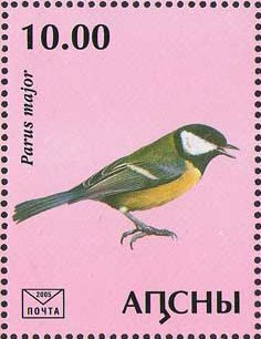 Parus major