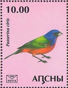 Stamp, Passerina ciris, Abkhazia,  , Animals (Fauna), Birds