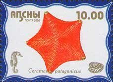 Ceramas patagonicus