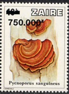 Stamp, CD 961 with new value, Zaire,  , Mushrooms, Plants (Flora)